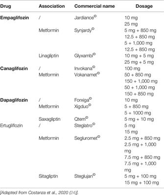 SGLT2 Inhibitors: A Broad Impact Therapeutic Option for the Nephrologist